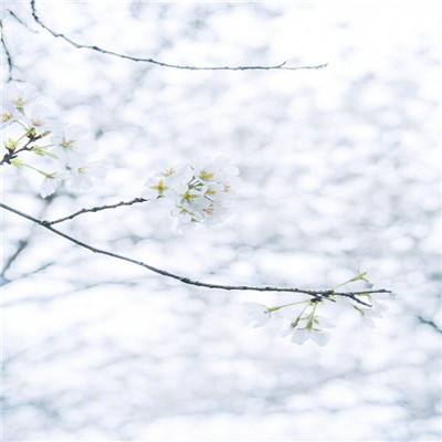 汉风西游ol手游
